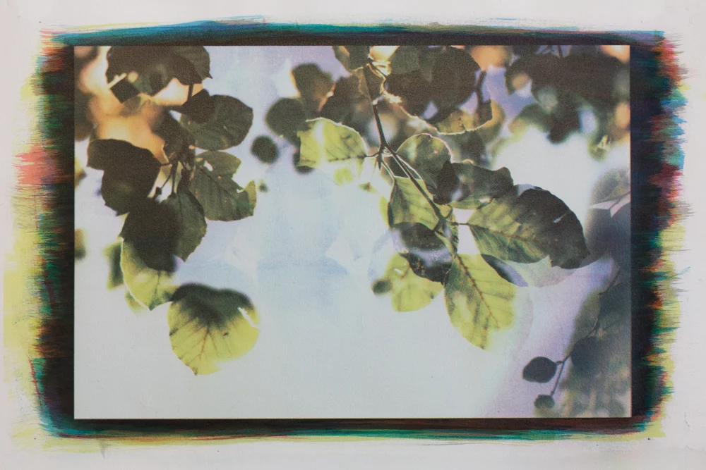 Between the Leaves, No. 10