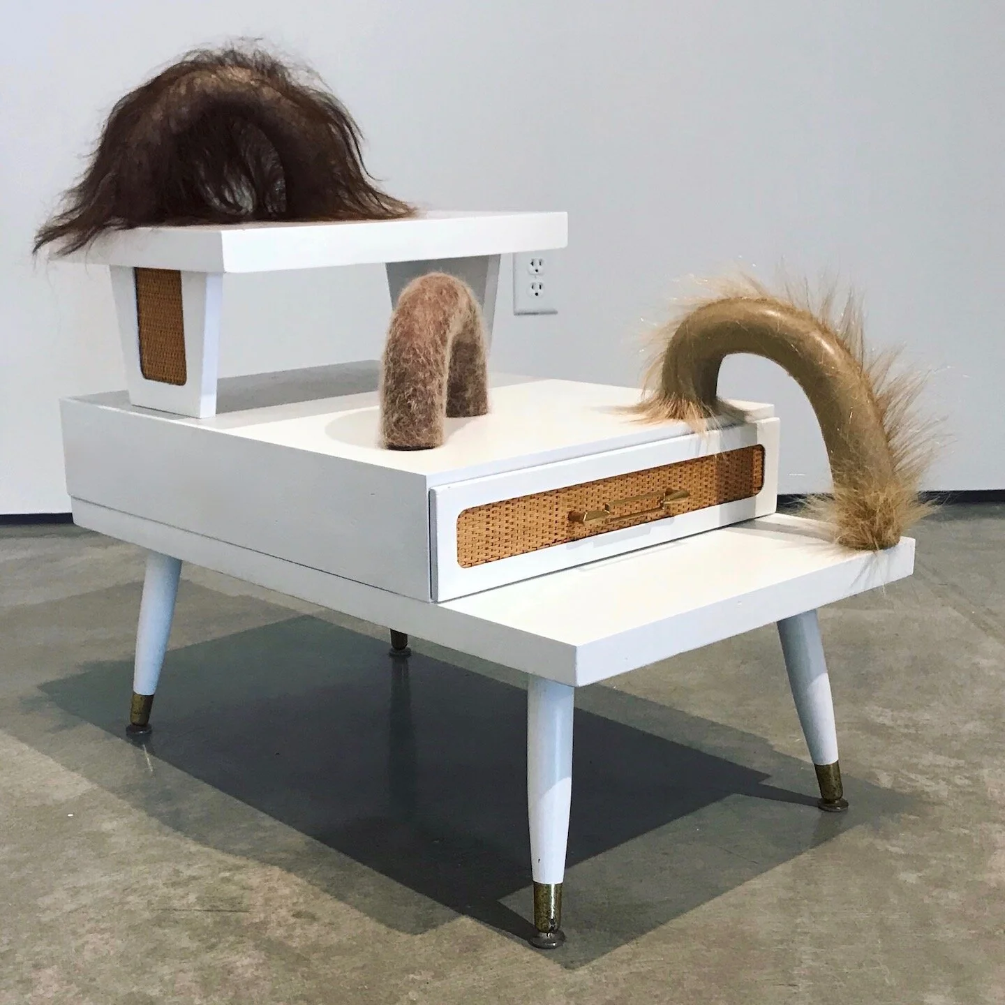 Folk_Reborn_sized copy.jpeg