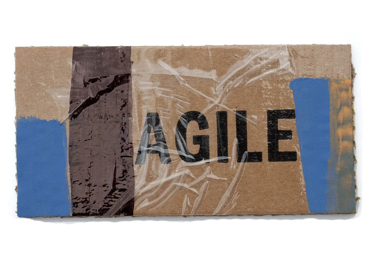 11_agile.jpg