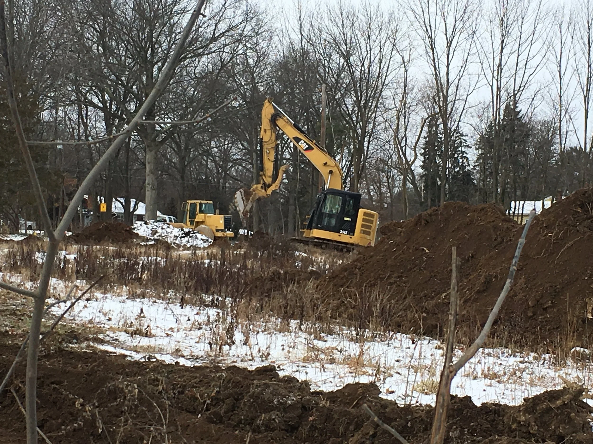Mother Earth Makes Way for Lord Krishna's Temple