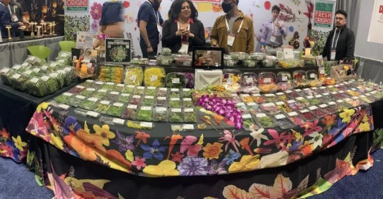 What food &amp; beverages to expect at the National Restaurant Show