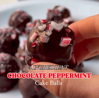 4-Ingredient Chocolate Peppermint Cake Balls with @thecookinpeanut 