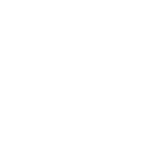DOT Foods Logo