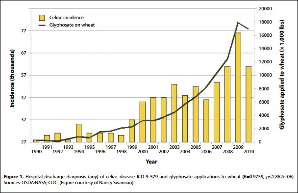 Correlation between glyphosate on wheat and the incidence of celiac disease.