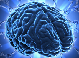 A picture of a brain.