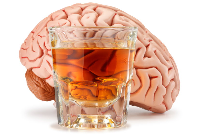 How to Protect Your Brain from Alcohol & Never Be Hungover — Optimal ...