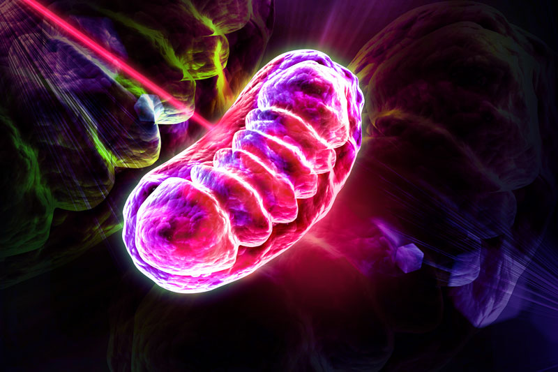 Photobiomodulation