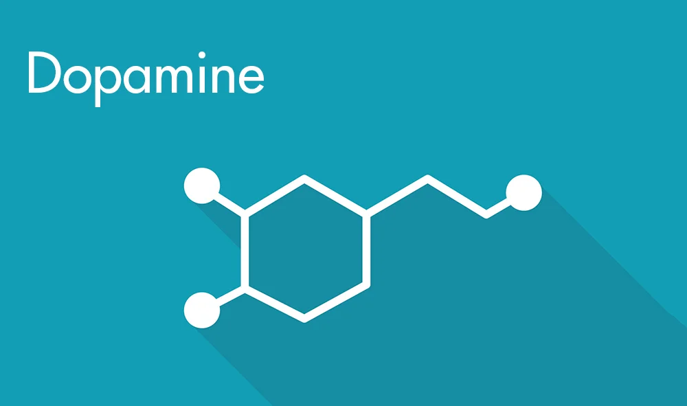 The 36 Best Natural Ways to Increase Dopamine Levels in the Brain