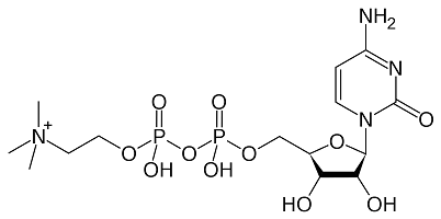 choline.png