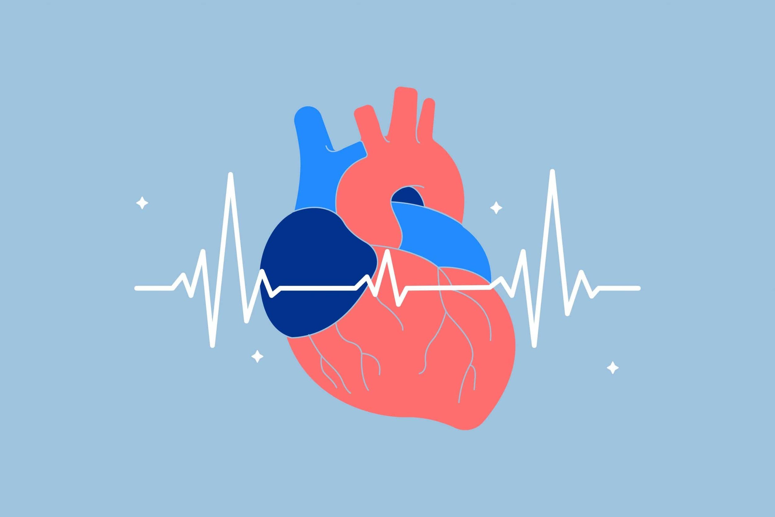 24 Proven Strategies to Boost Your Heart Rate Variability (HRV)