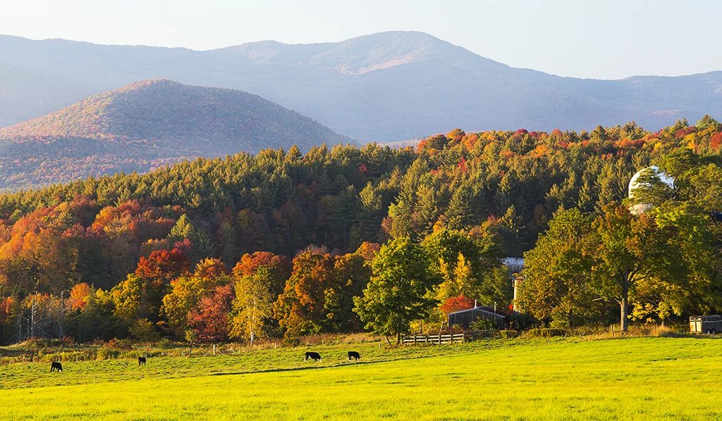 sparrow farm rd VT_MG_0321.jpg