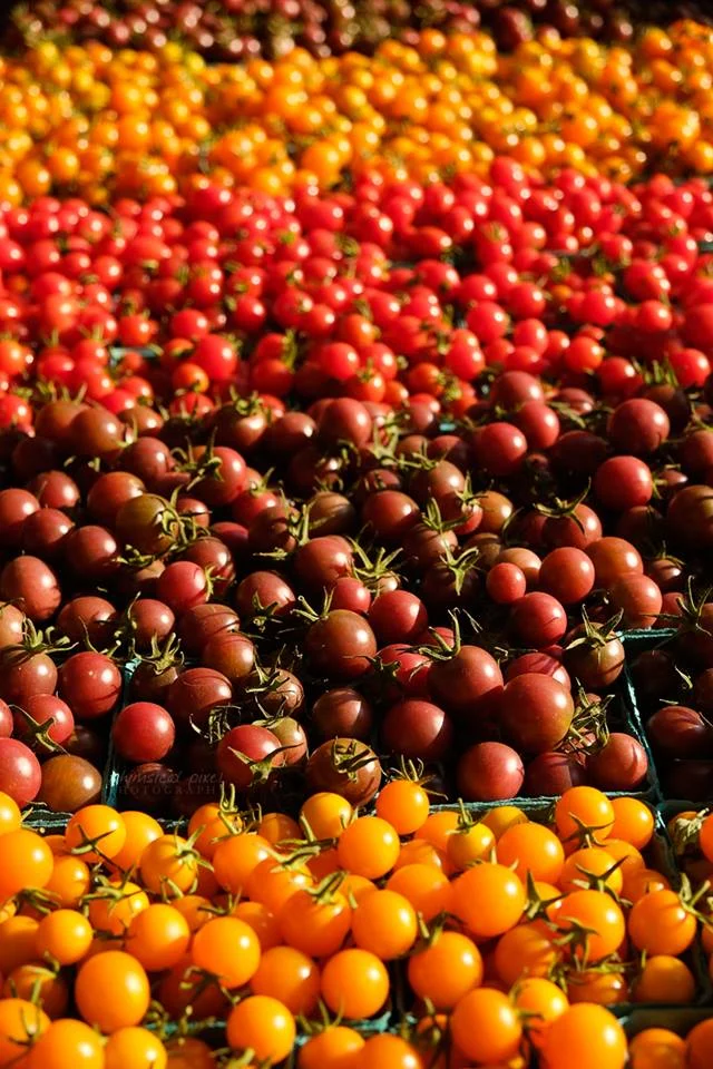 tomatoes market.jpg