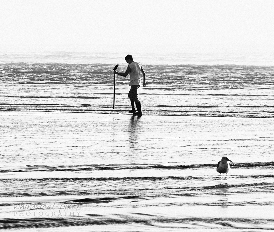 clamming seaview 960px 7157.jpg