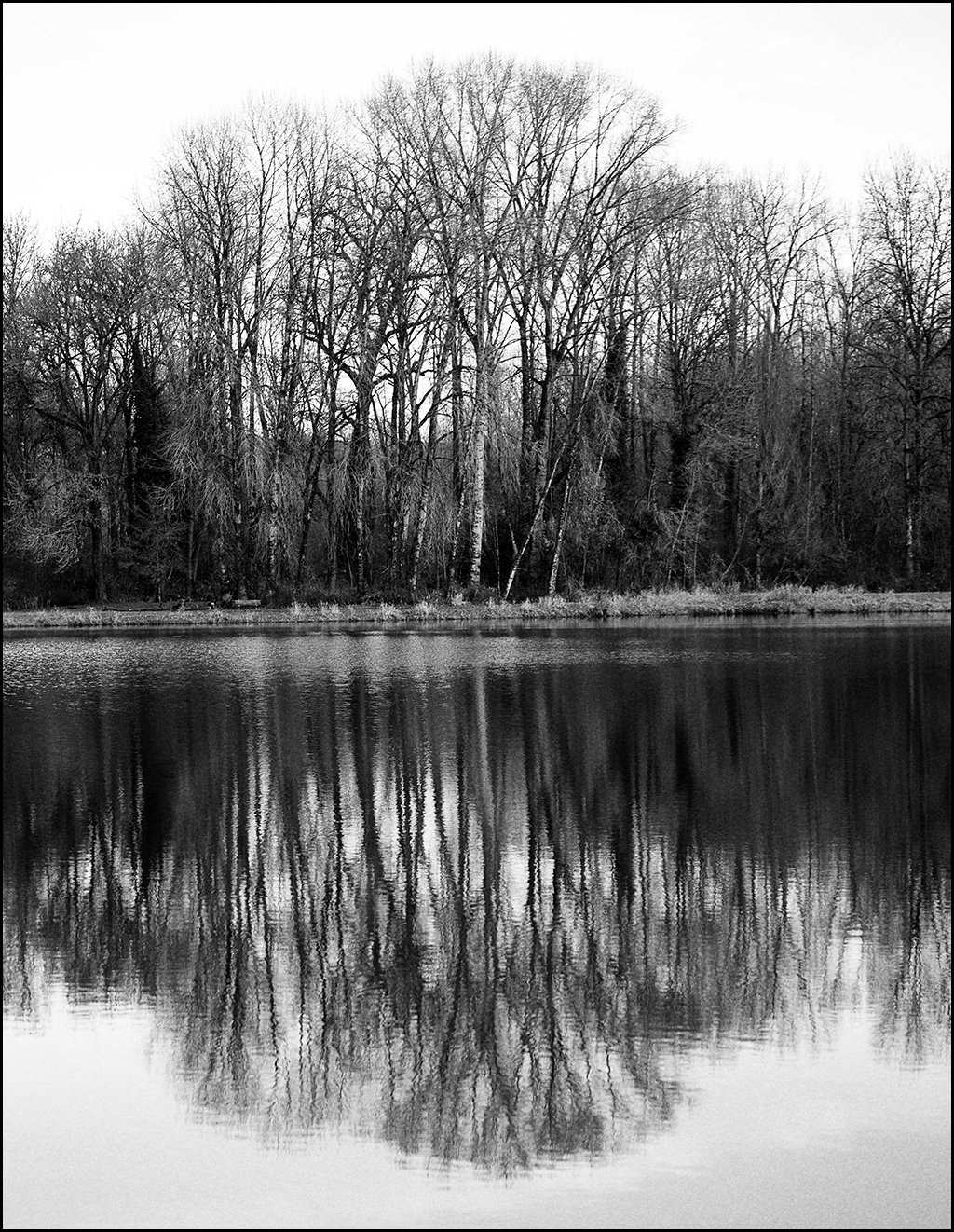 trojan park bw 1024px 1010.jpg