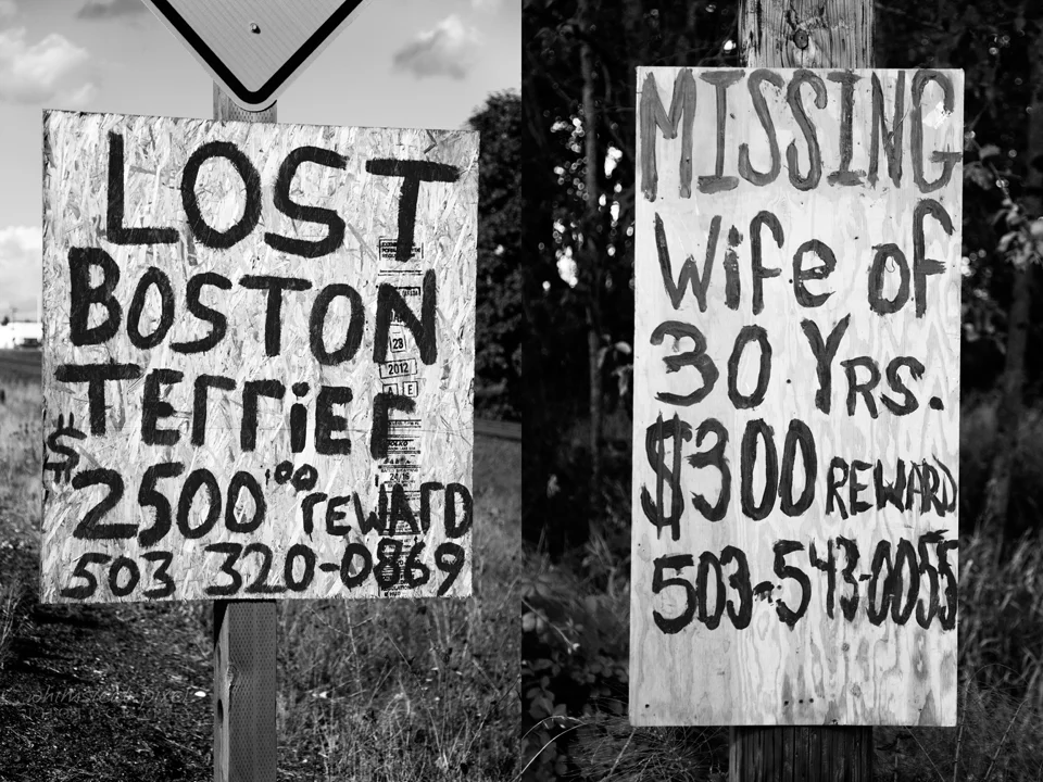 signage 960px wm diptych.jpg