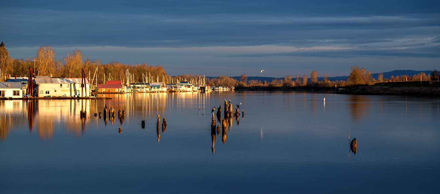 houseboats morning 1440px_MG_0837.jpg