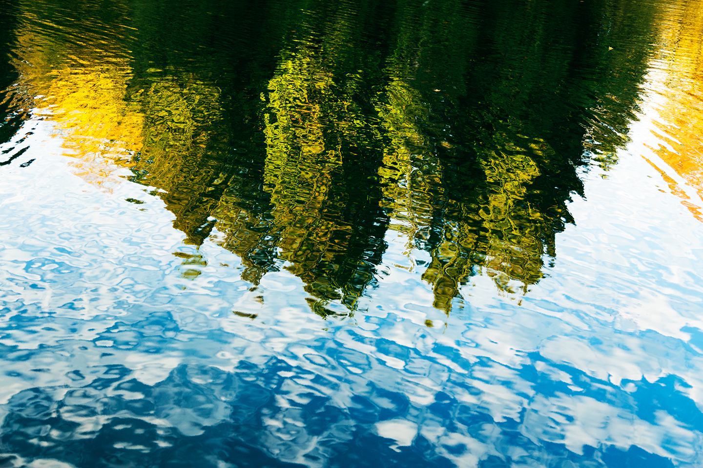 Laurelhurst park reflections 1440px 0197.jpg