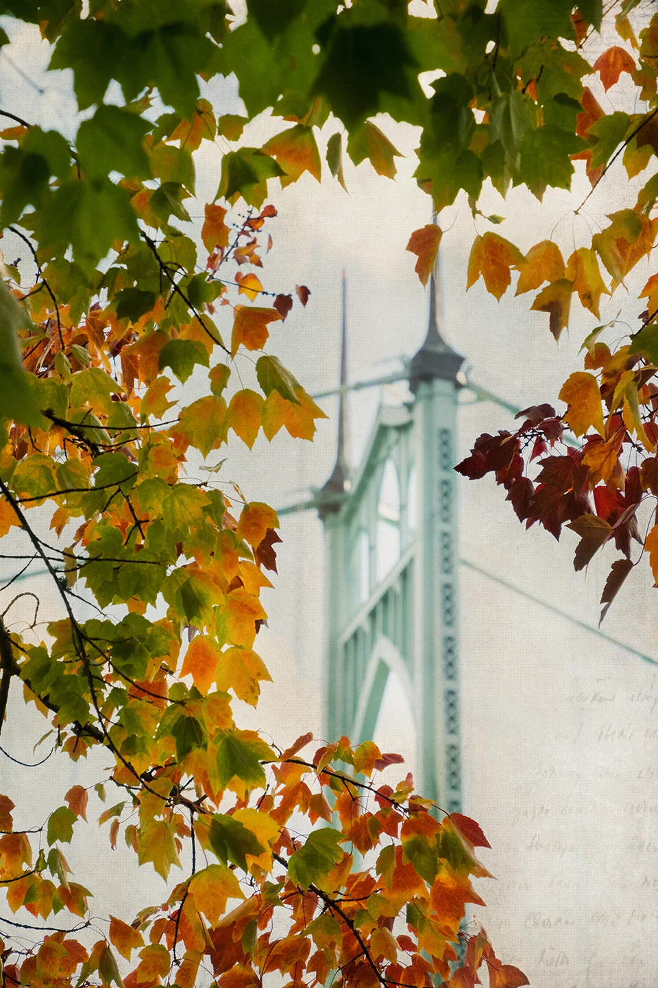 st johns bridge leaf frame 1440px_3_DSF5378.jpg