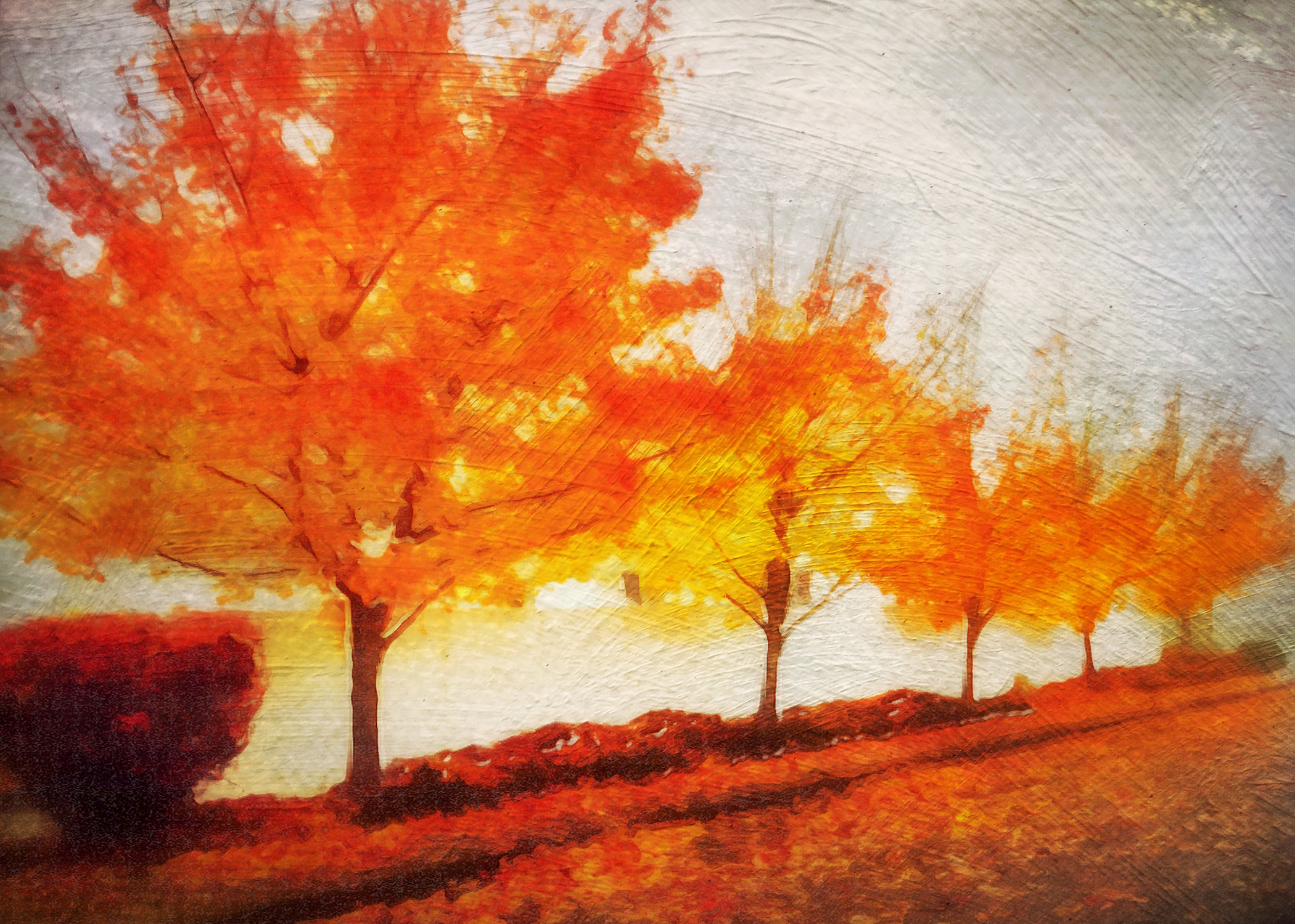 November 2016 bobs trees layers.jpg
