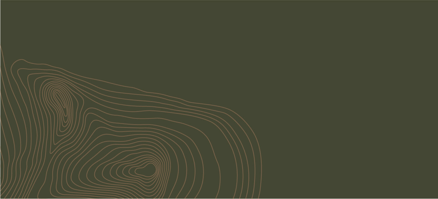 01 - home header.AI)-03.jpg