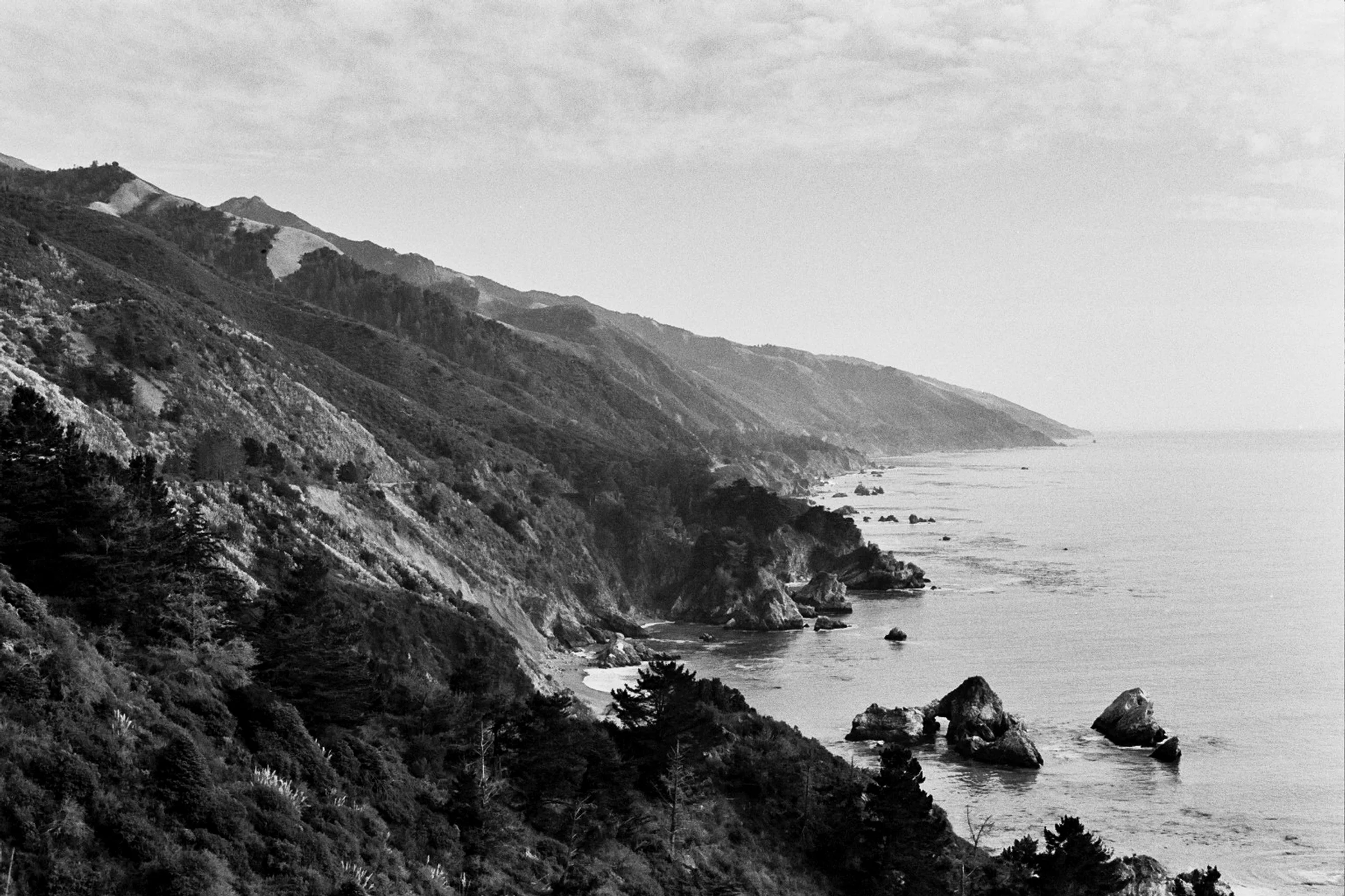 Photographer Chris Dodds, Film
