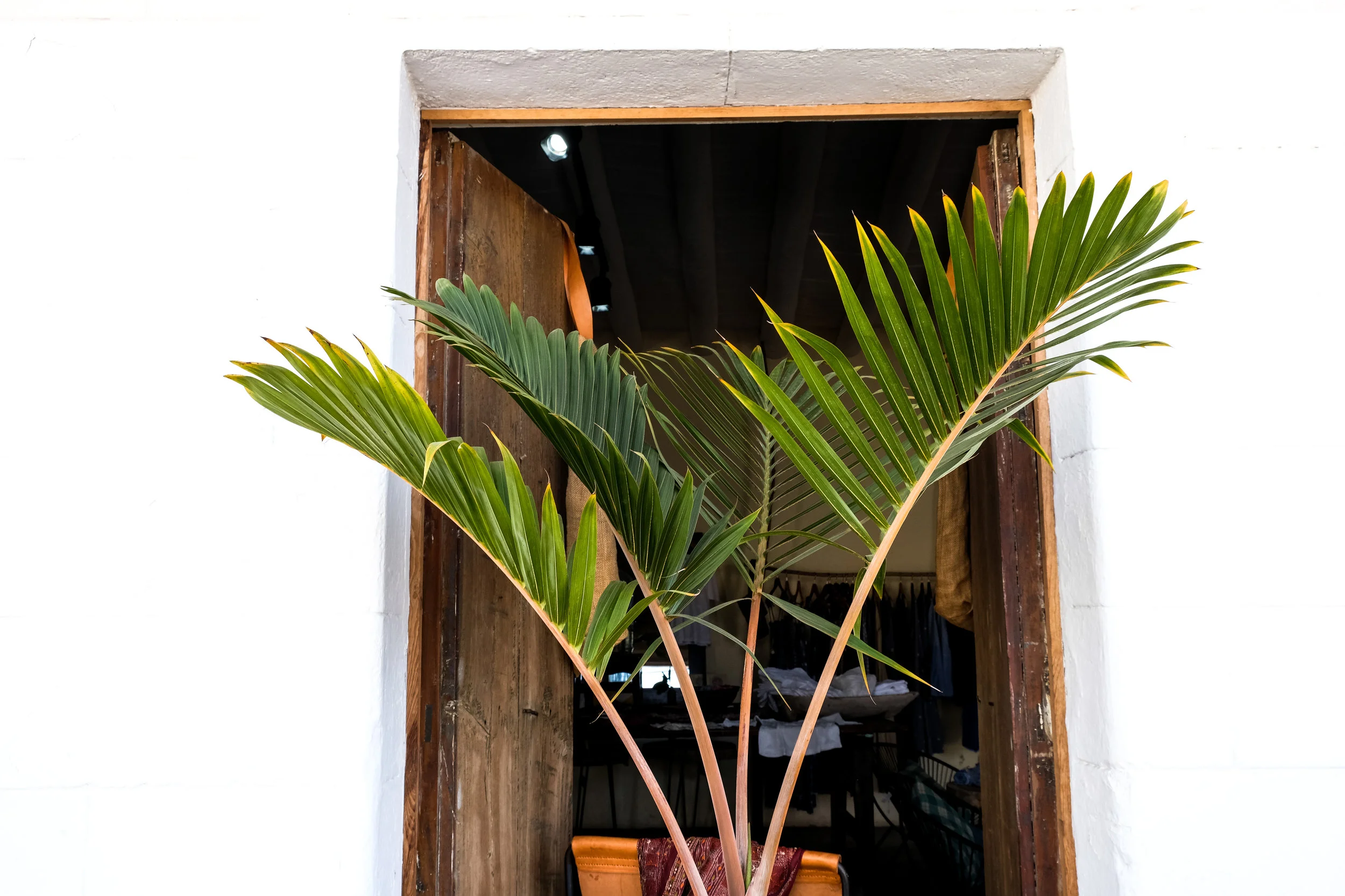 DSCF6428-2.jpg