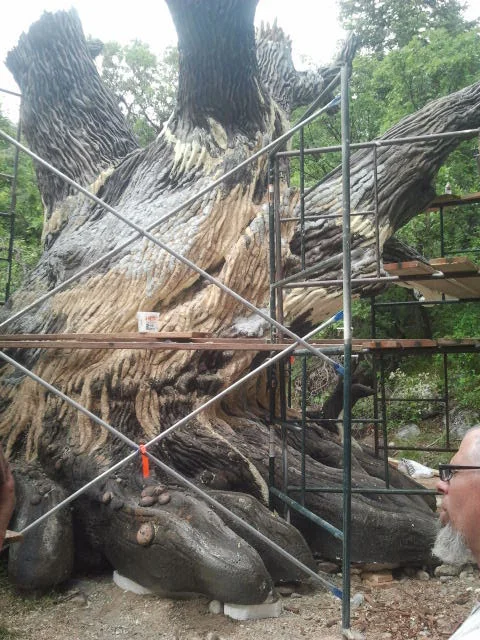 gallantine tree.jpg
