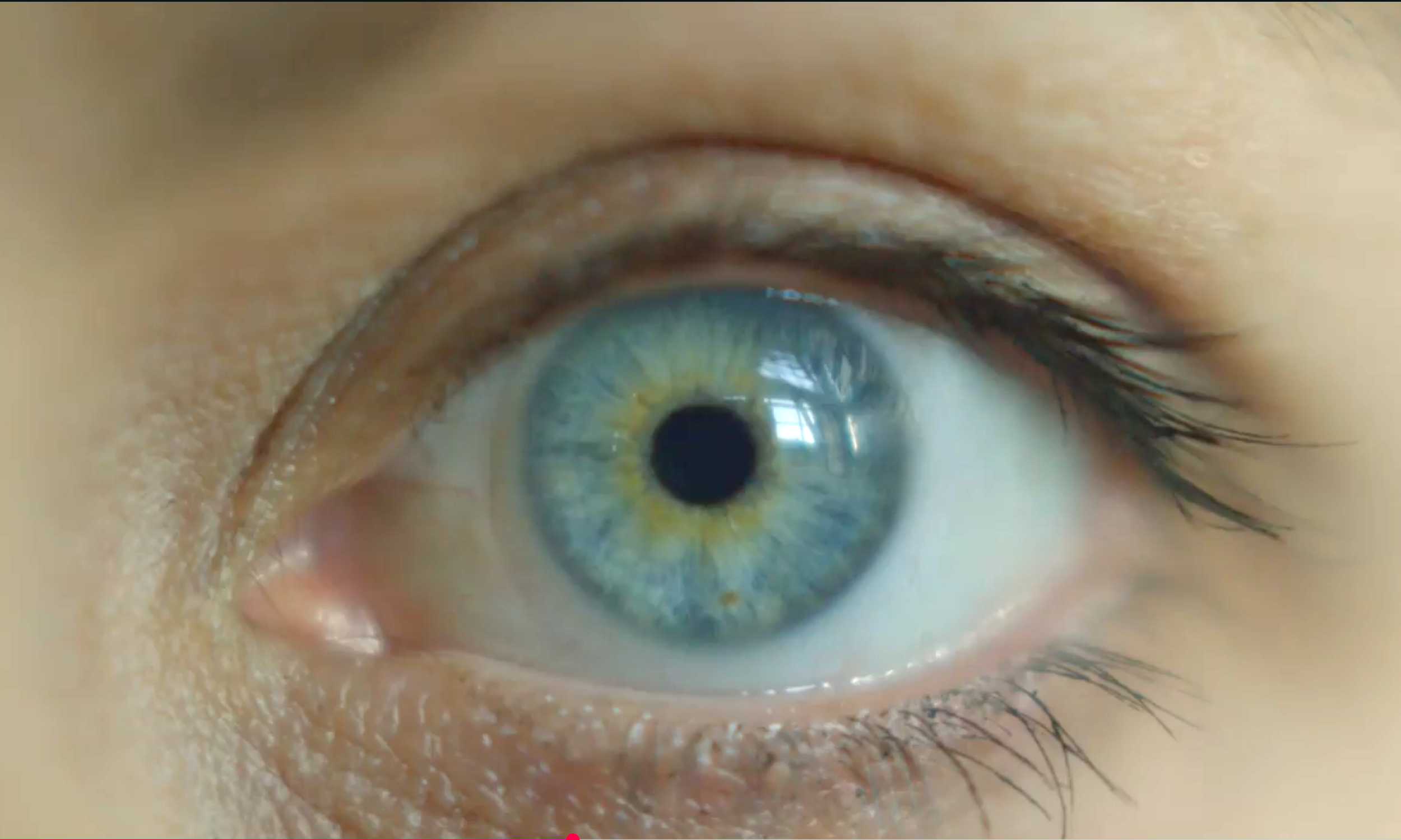 Lenscrafters Eye.png