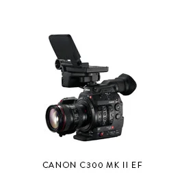 CANON C300 MK II EF(3) Batteries, Dual Charger (2) 128gb CFast cards, CFast Reader ET Micron 15mm baseplate Movcam Top Handle