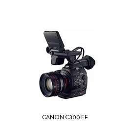 CANON C300 EF(4) Batteries, Dual Charger (2) 32gb CF cards, CF Reader ET Micron 15mm baseplate Movcam Top Handle