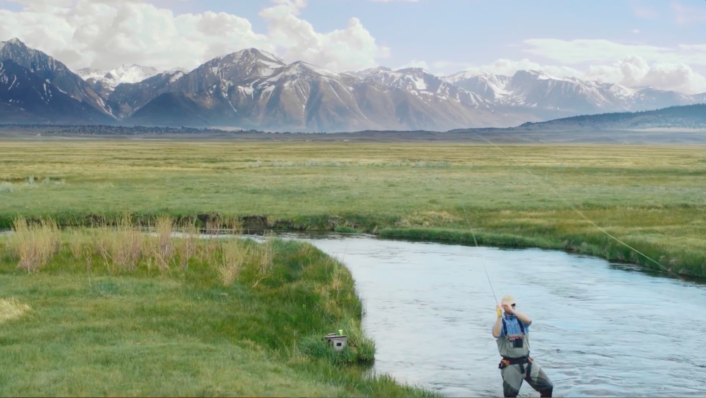 Sierra Nevada - Throwback.jpeg