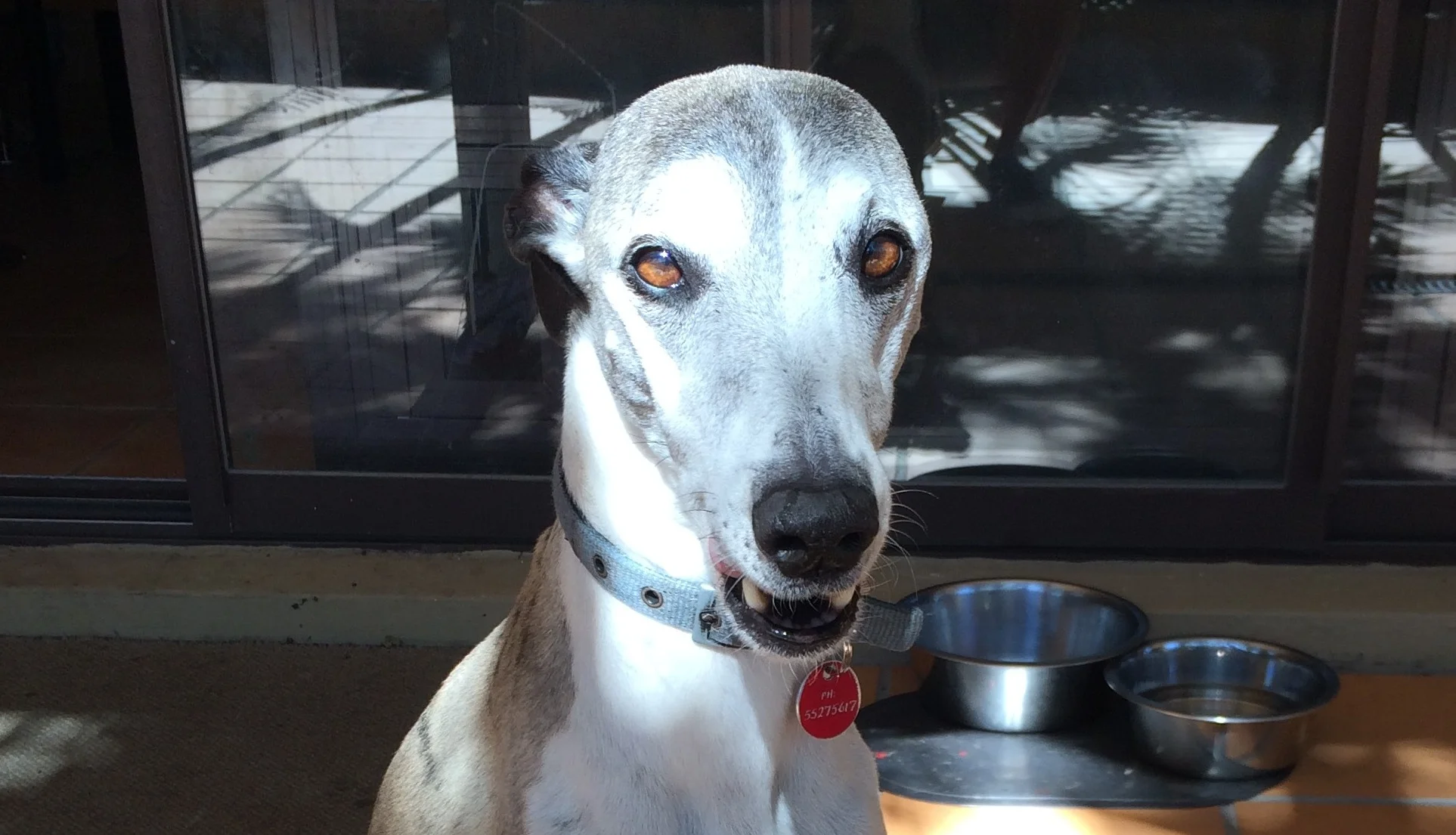 How to do safe pest control