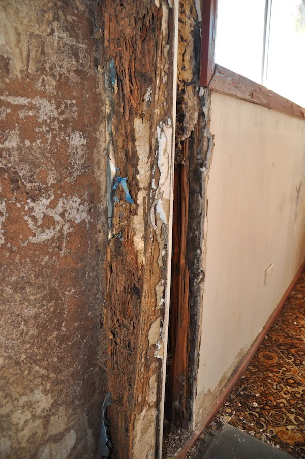 How to avoid a termite attack