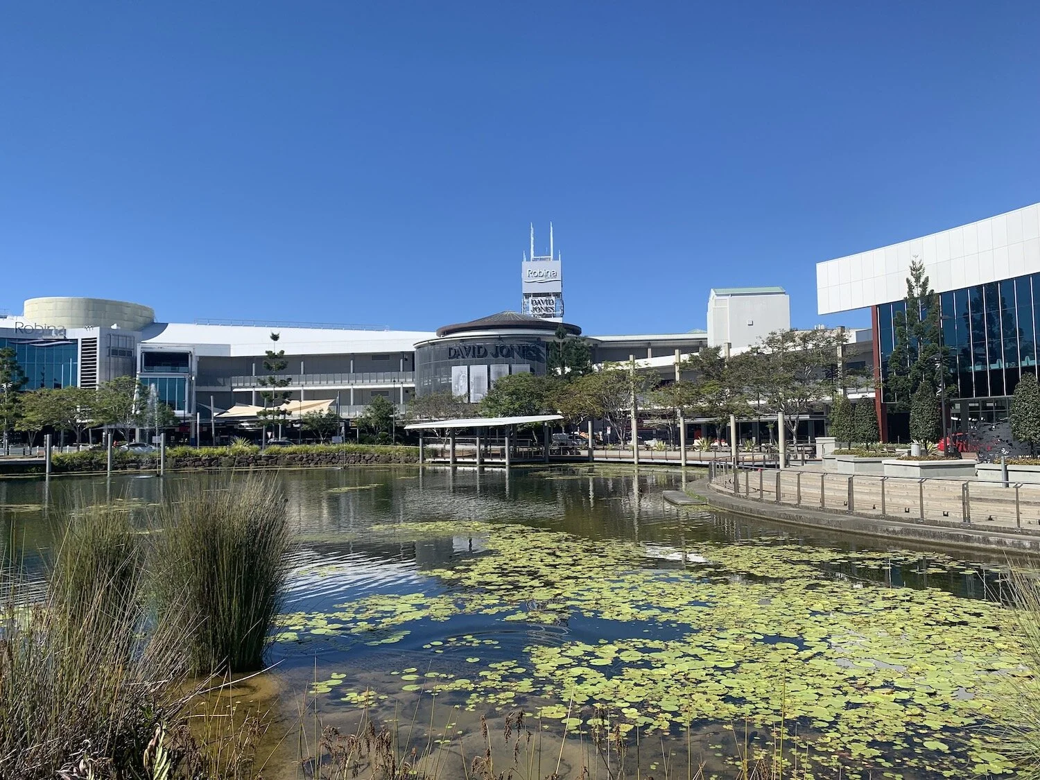 Robina IMG_9826 low res.jpeg