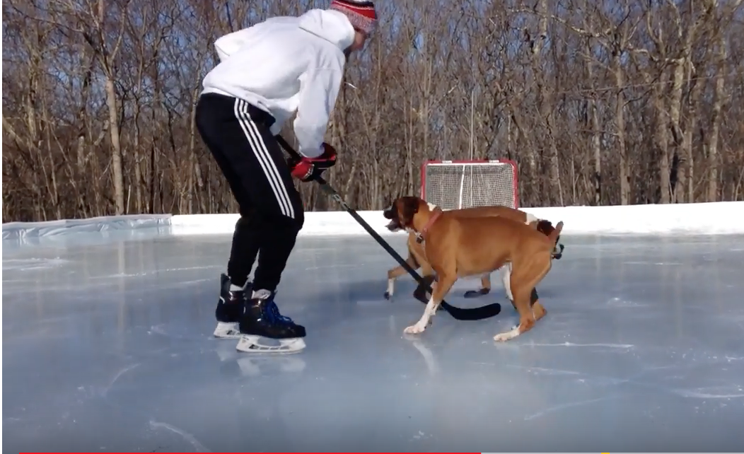 Yale student from Lincoln turns backyard rinks into fast-growing business