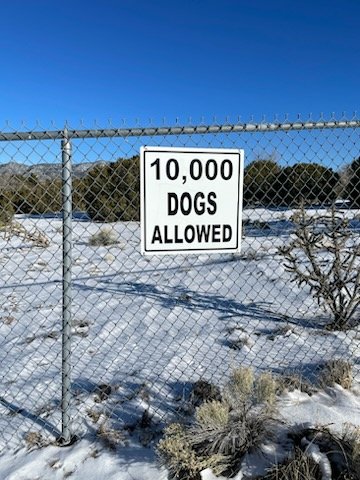 10,000 dogs allowed.jpeg