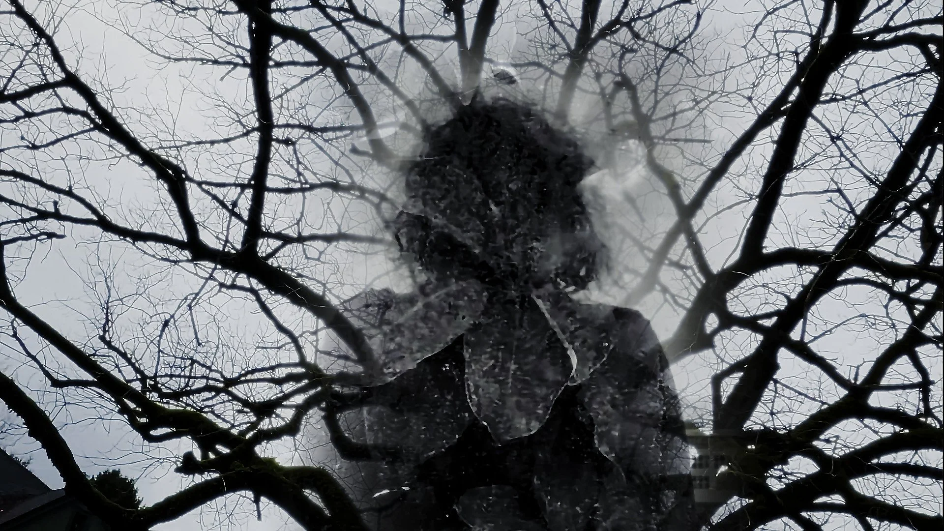 Renwick_The Swirl_04.jpg