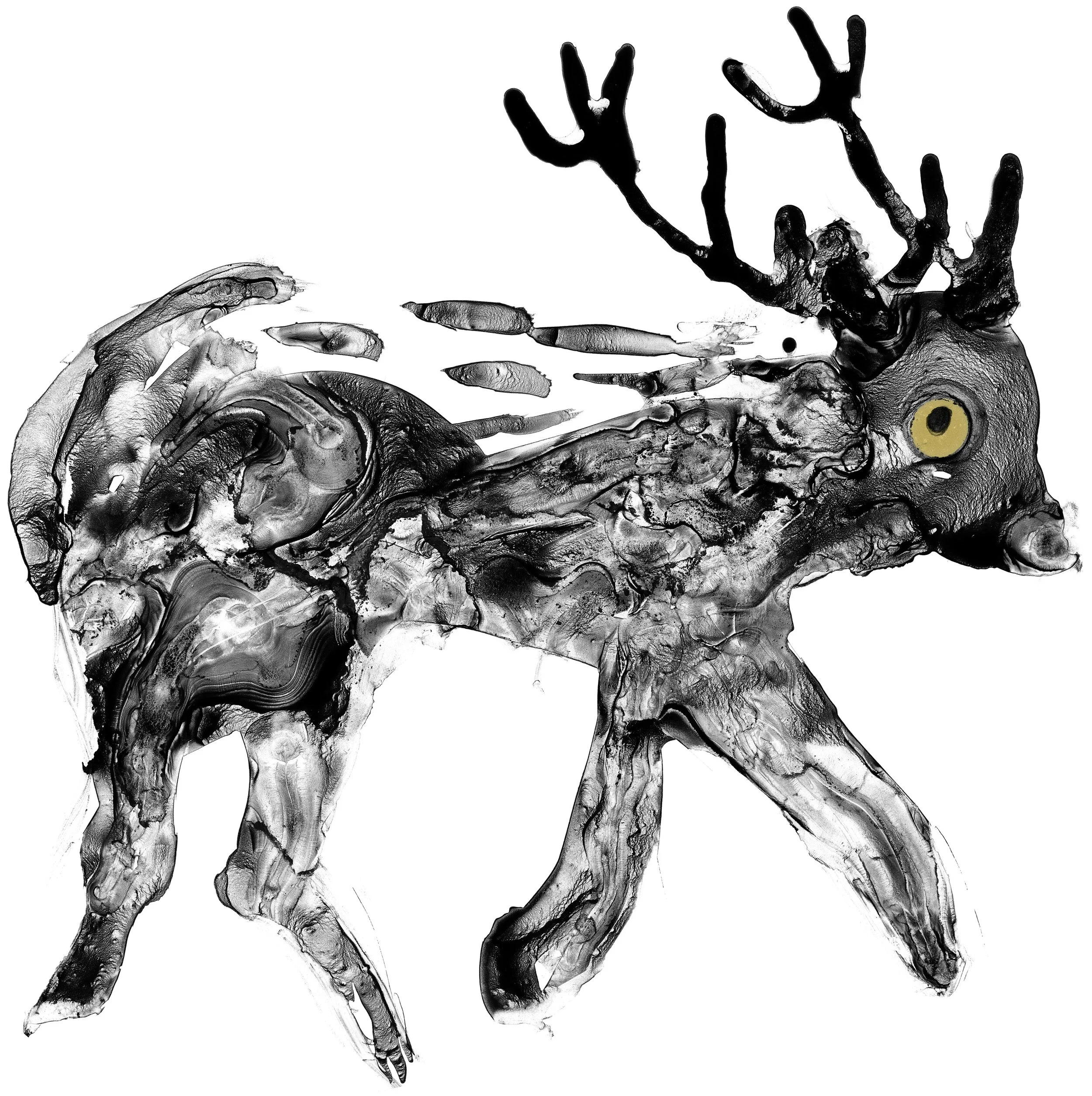 Ucross-Deer.jpg