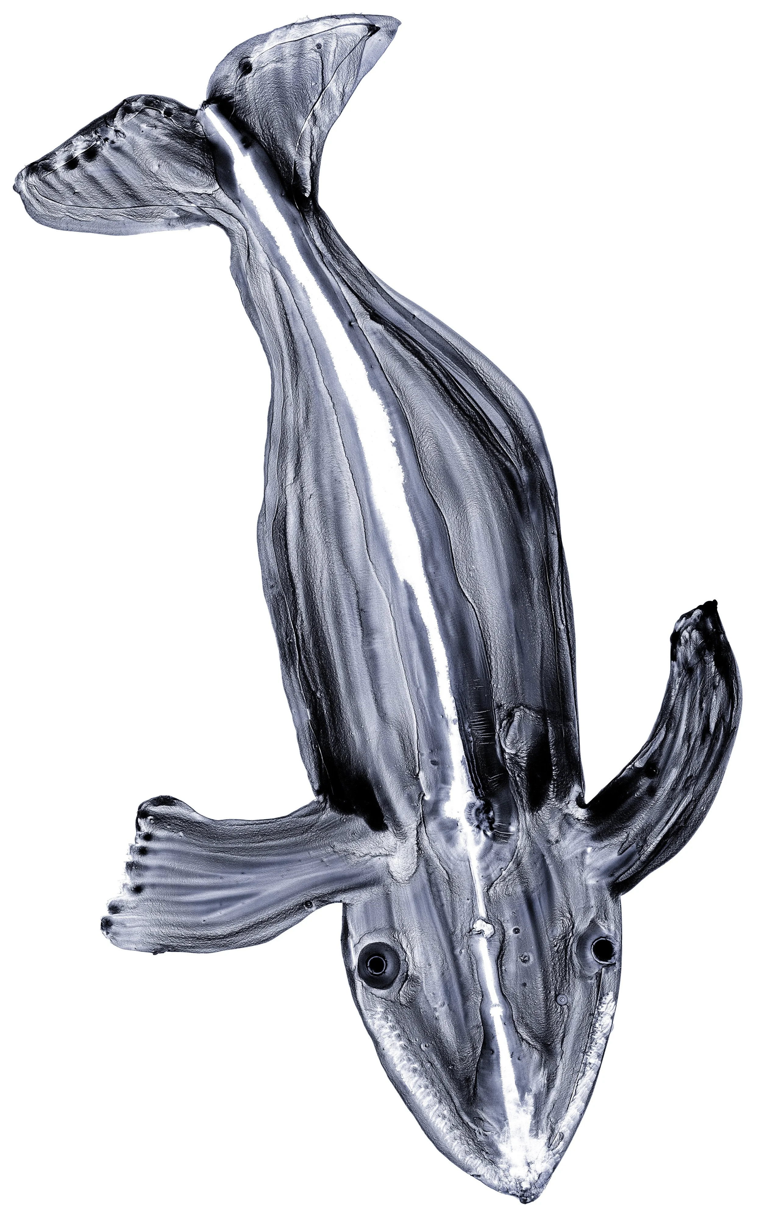 Matriarch.jpg