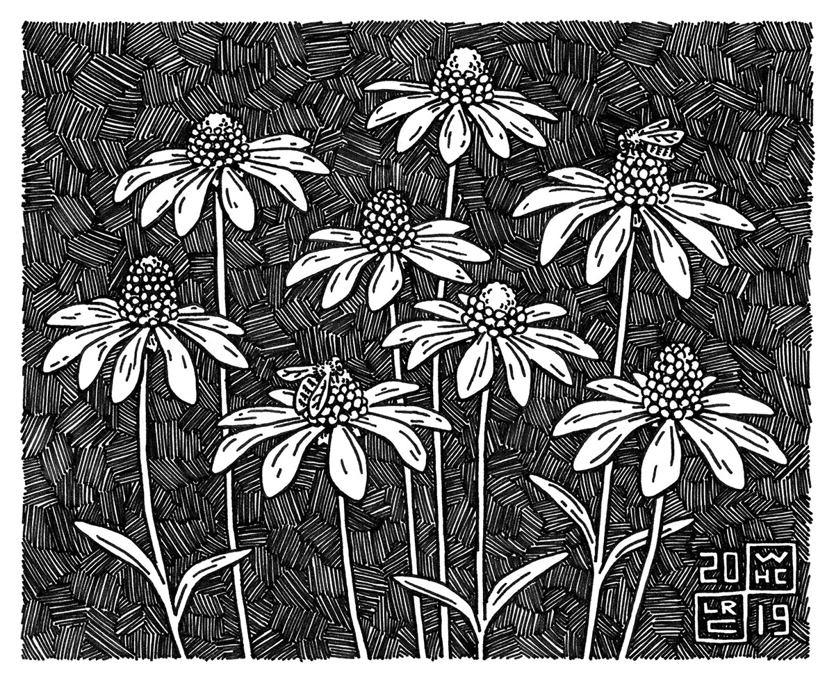 2019Calendar_Coneflower_Web.jpg