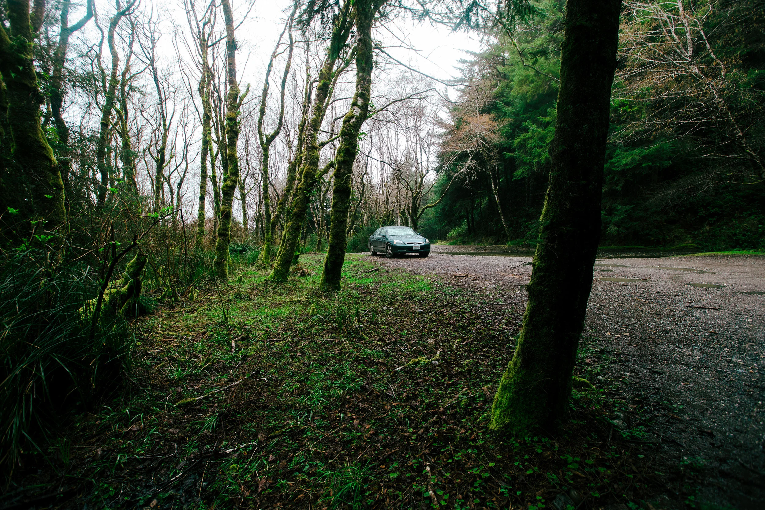 RoadTrip_Day5-1.jpg