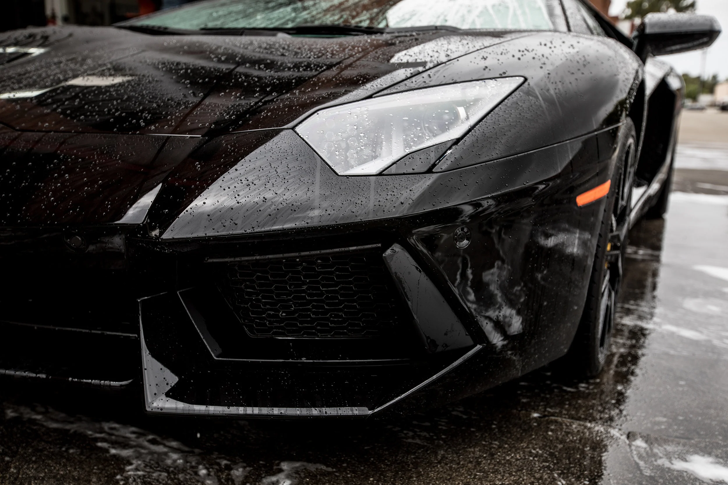 Concours_Lamborghini-4.jpg