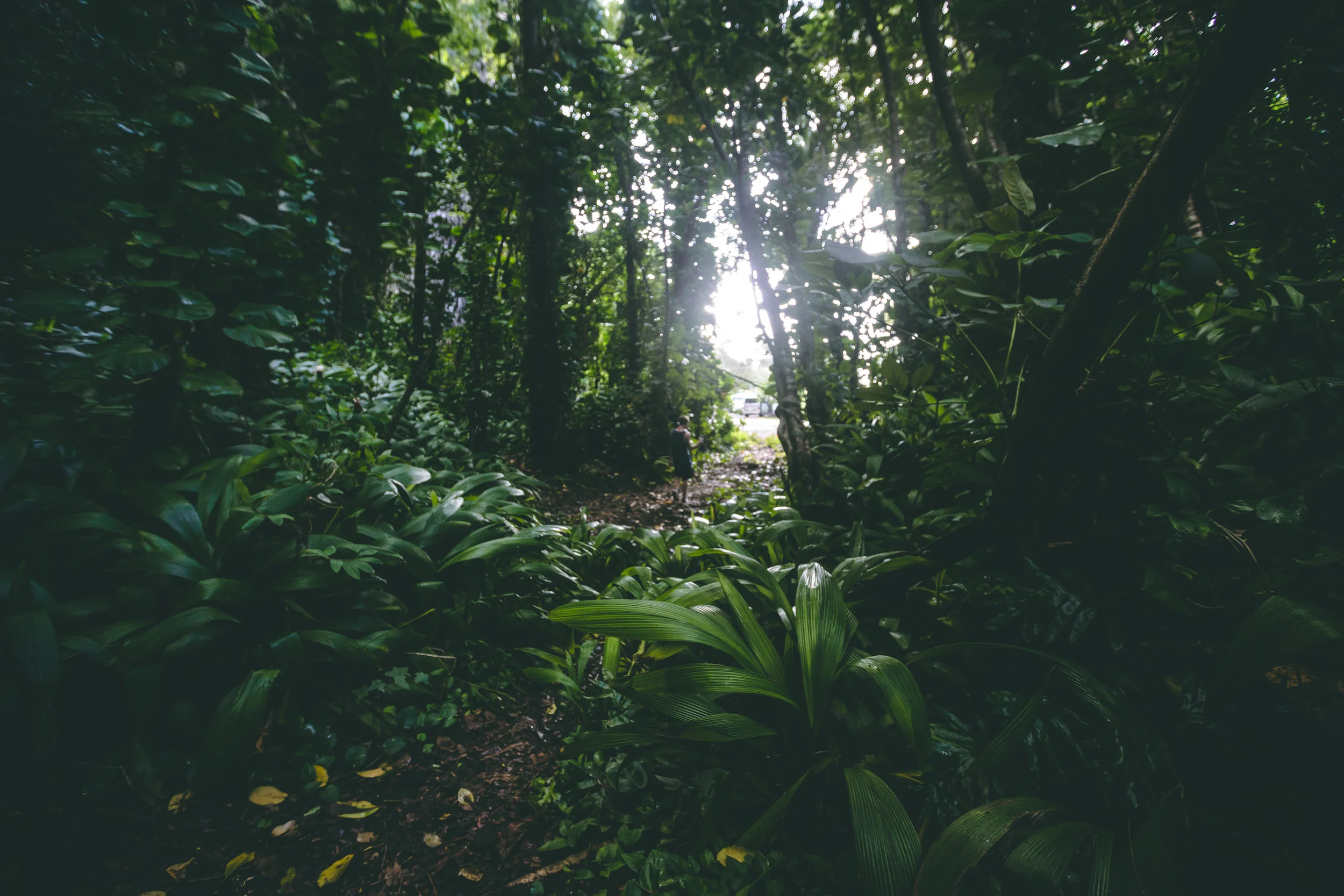 Kauai-50.jpg