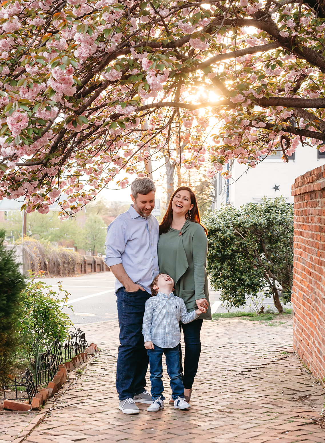 downtown alexandria va spring cherry blossoms with family session.jpg