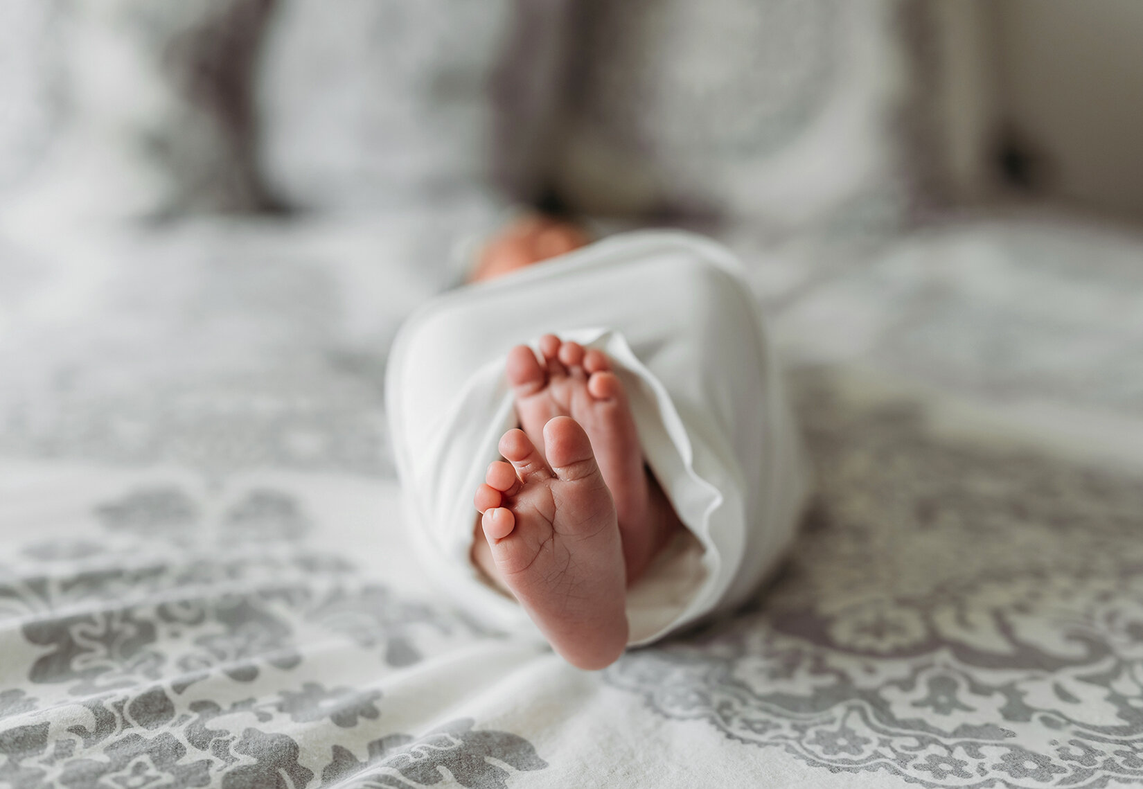 close up of fresh baby feet.jpg