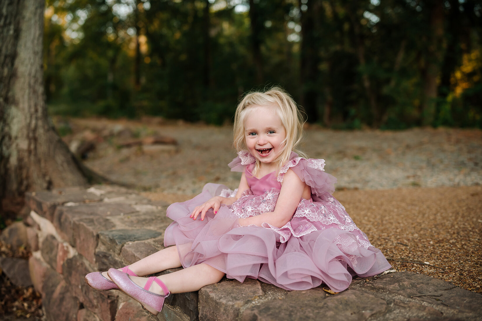 three year old portrait session of girl in beautiful rental gown.jpg