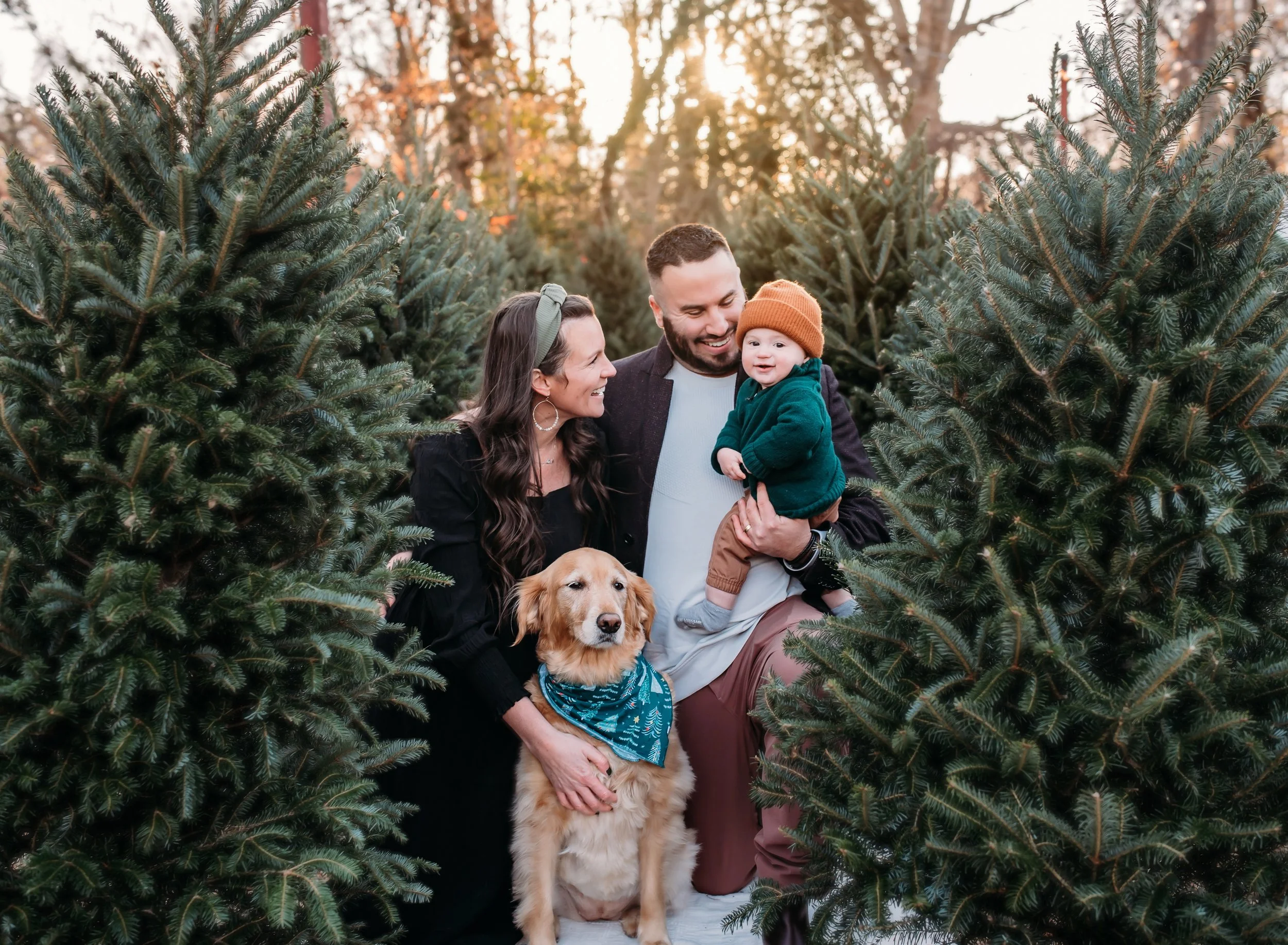family session at christmas holiday tree farm in northern virginia.jpg