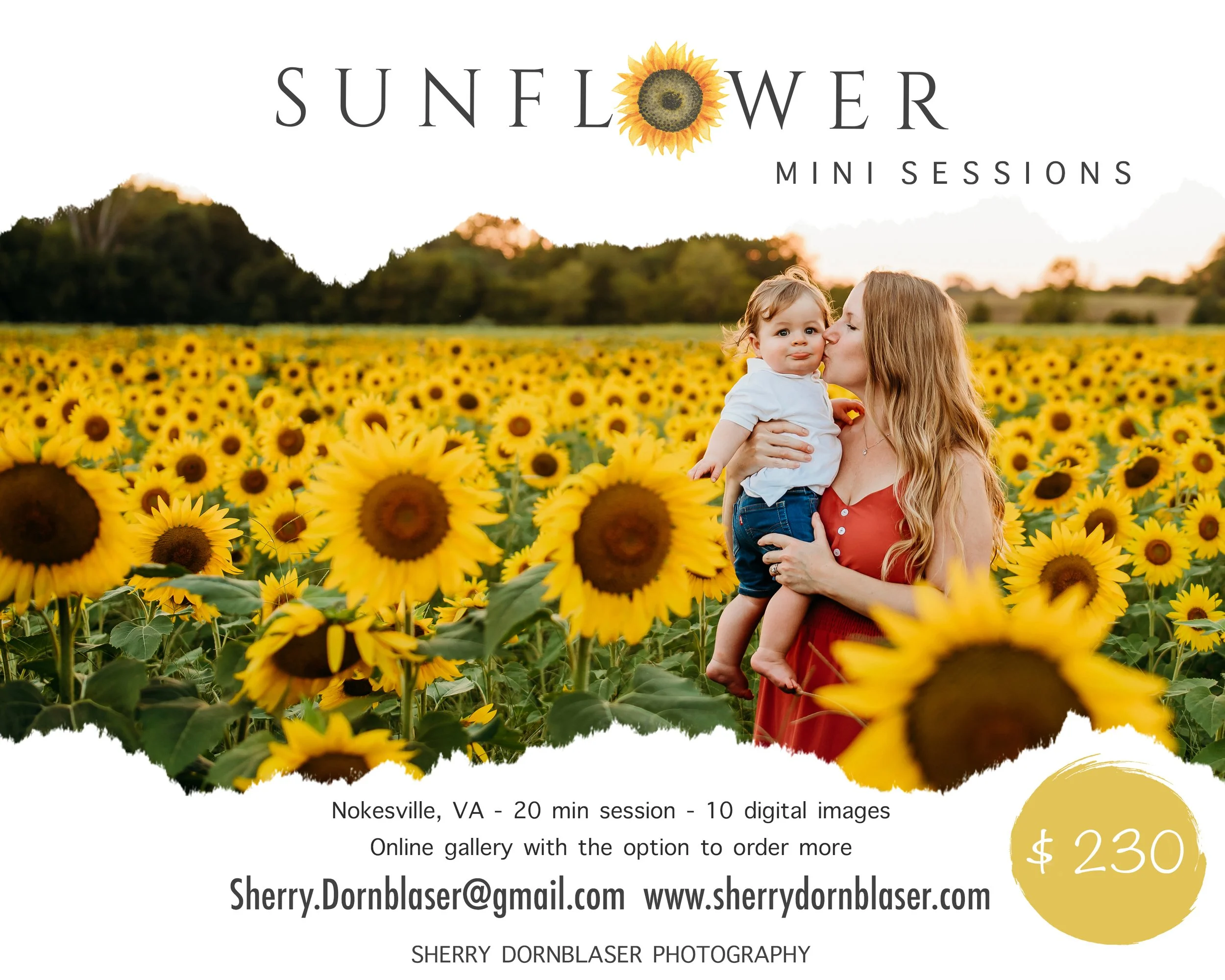 2026 SUMMER Mini Sessions