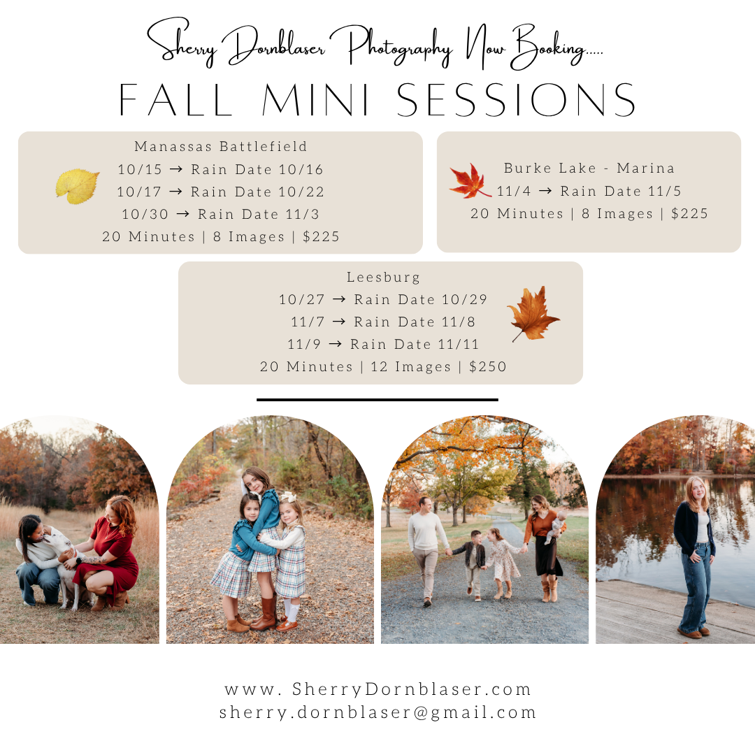 2026 Fall Mini Release