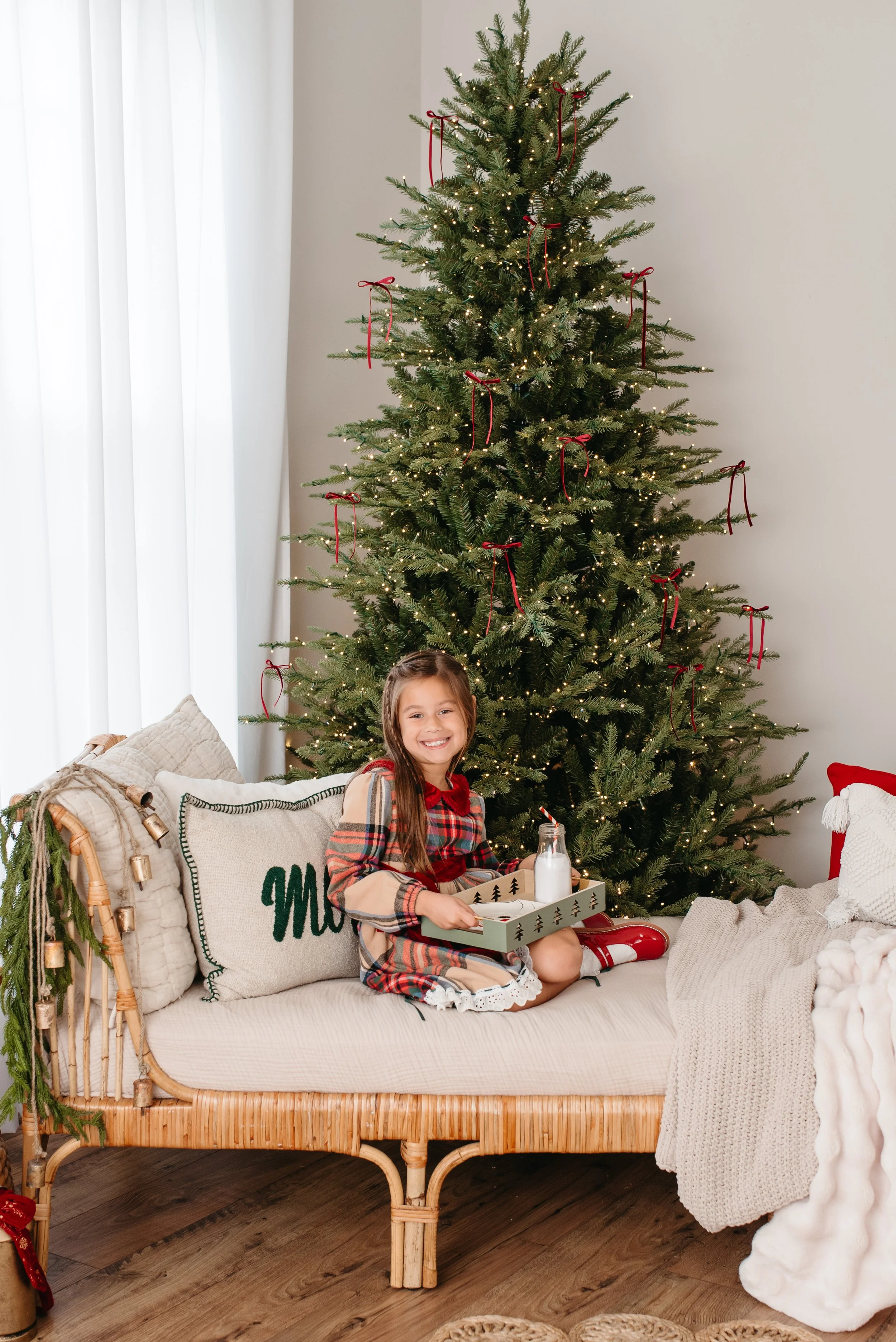 Northern VA Holiday Mini session-8.jpg